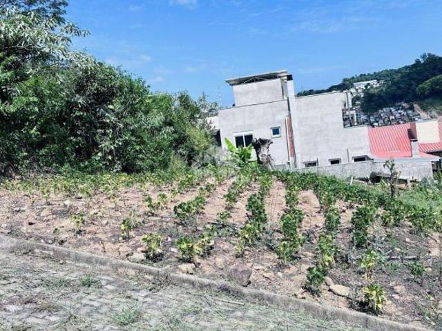 Terreno venda em Região Geográfica Imediata de Bento Gonçalves, Bento Gonçalves