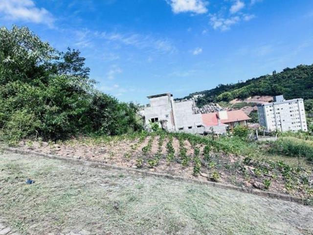 Terreno venda em Região Geográfica Imediata de Bento Gonçalves, Bento Gonçalves