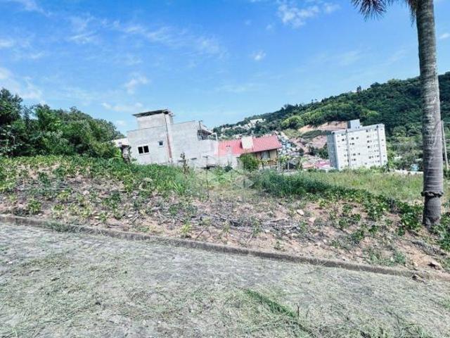 Terreno venda em Região Geográfica Imediata de Bento Gonçalves, Bento Gonçalves