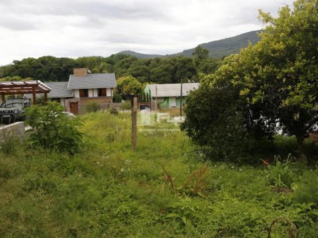 Terreno venda em Feliz