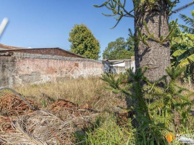 Terreno venda em Região Geográfica Imediata de Porto Alegre, Região Metropolitana de Porto Alegre