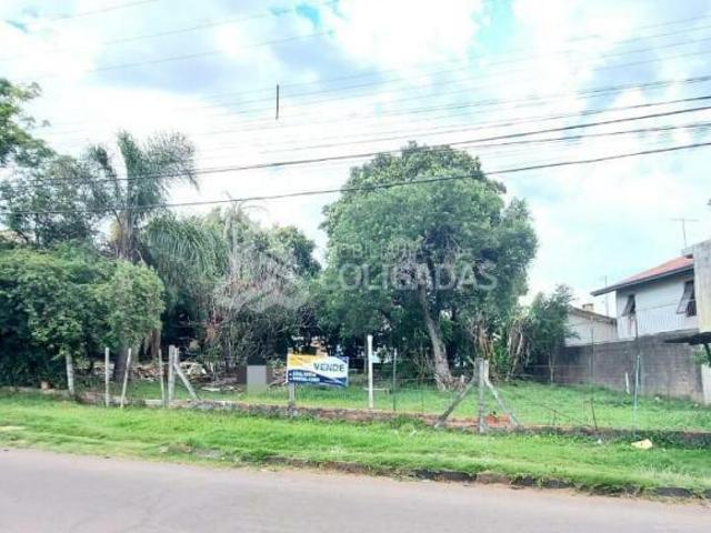 Terreno venda em Passo Fundo