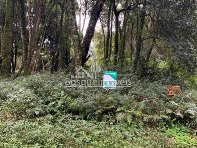 Terreno venda em Região Geográfica Imediata de Passo Fundo, Passo Fundo