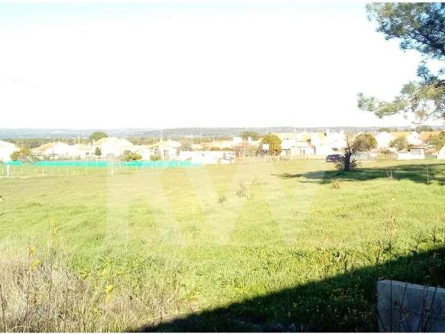 Terreno venda em Coruche, Santarém
