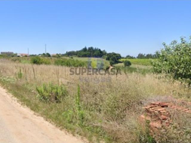 Terreno venda em Bombarral, Leiria