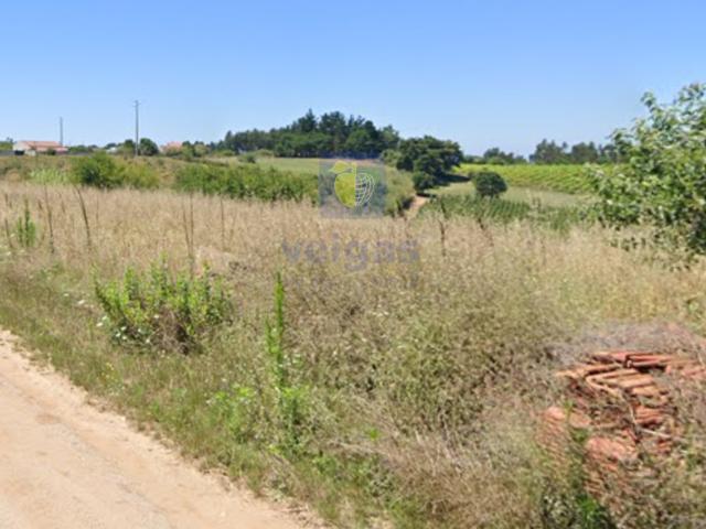 Terreno venda em Barrocalvo, Bombarral