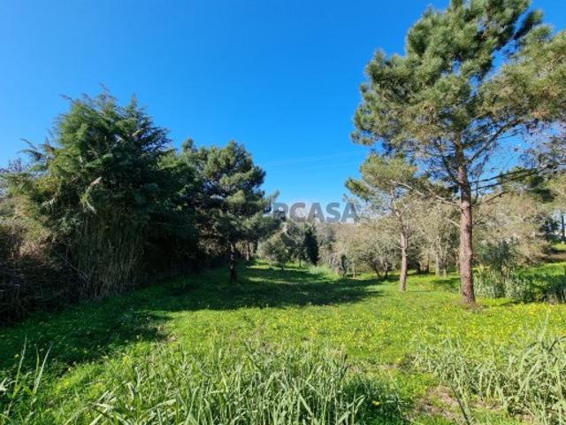 Terreno venda em Bombarral, Carvalhal
