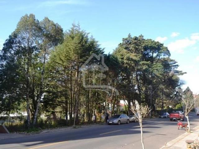 Terreno venda em Região Geográfica Imediata de Caxias do Sul, Canela