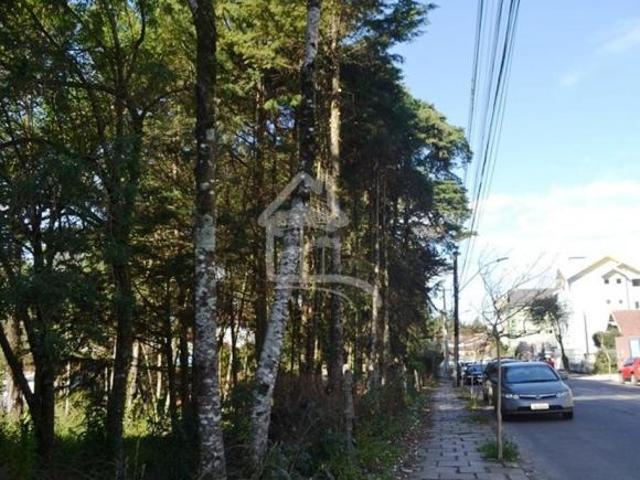 Terreno venda em Região Geográfica Imediata de Caxias do Sul, Canela