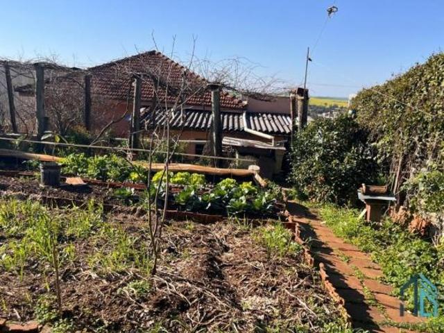 Terreno venda em Palmeira das Missões