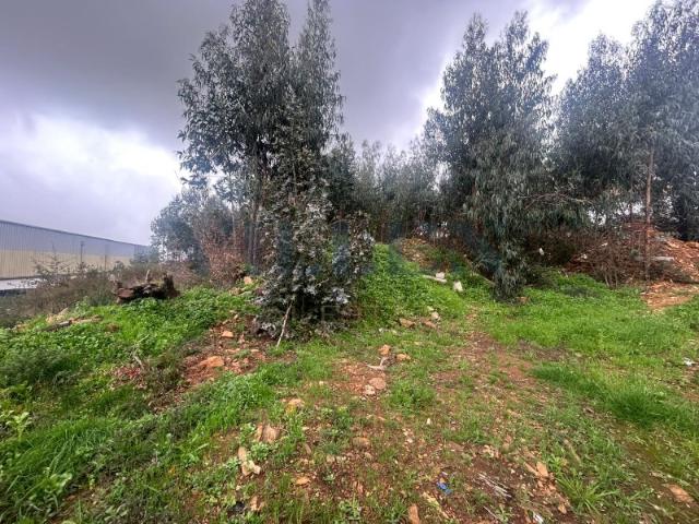 Terreno venda em Bougado (São Martinho e Santiago), Trofa
