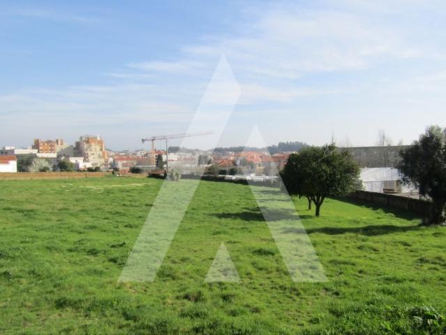 Terreno venda em Assilhó, Albergaria-a-velha