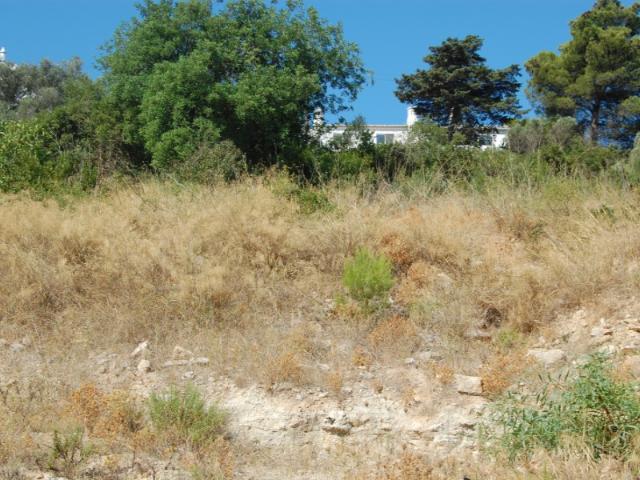 Terreno venda em Carvoeiro, Faro