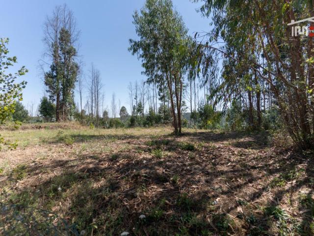 Terreno venda em Águas Formosas, Ourém