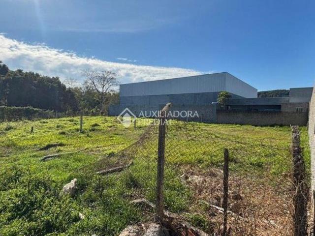 Terreno venda em Região Geográfica Imediata de Novo Hamburgo - São Leopoldo, Região Metropolitana de Porto Alegre