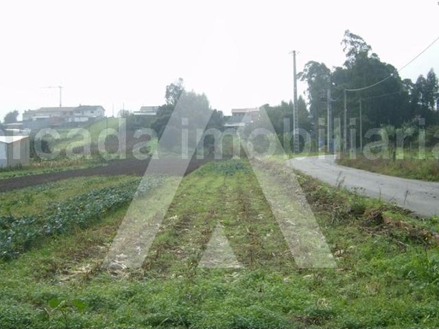 Terreno venda em Fermentelos, Águeda