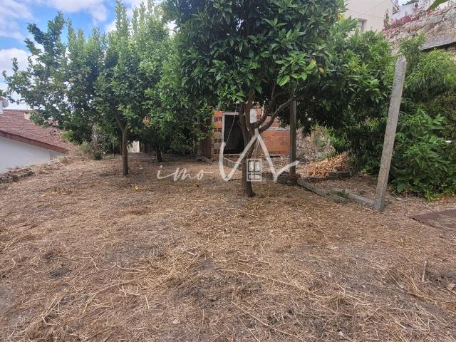 Terreno venda em Montemor-o-Velho e Gatões, Montemor-o-velho