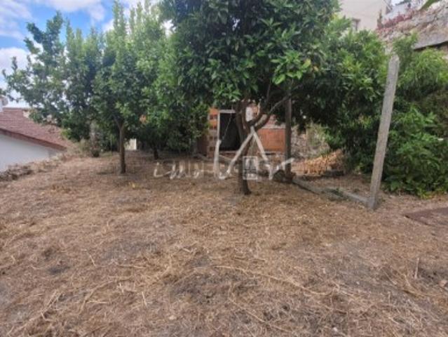 Terreno venda em Montemor-o-velho Terreno venda em Montemor-o-velho