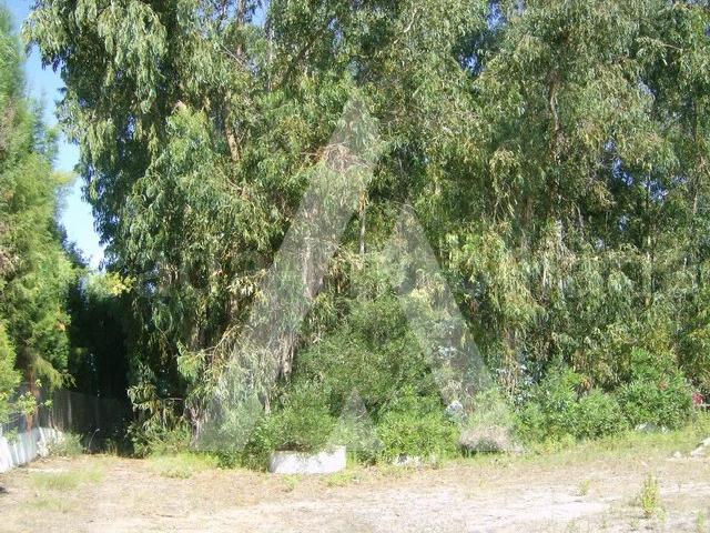 Terreno venda em Oliveira Do Bairro, Aveiro