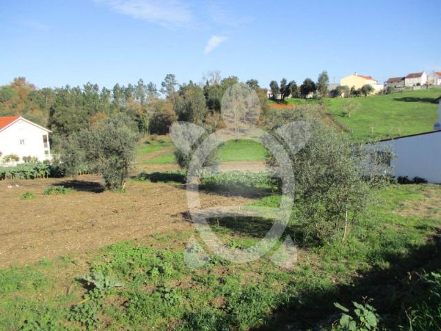 Terreno venda em Soure, Coimbra
