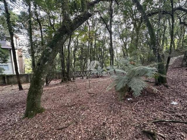Terreno venda em Residencial Lagos de Gramado, Gramado