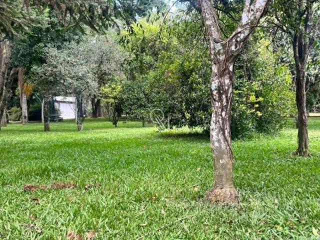 Terreno venda em Região Geográfica Imediata de Caxias do Sul, Caxias do Sul