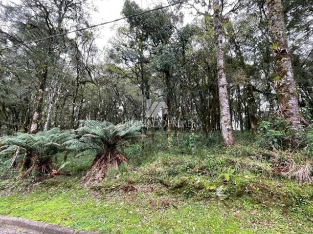 Terreno venda em Região Geográfica Imediata de Caxias do Sul, Canela