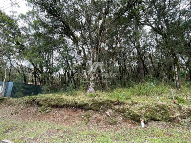 Terreno venda em Região Geográfica Imediata de Caxias do Sul, Canela