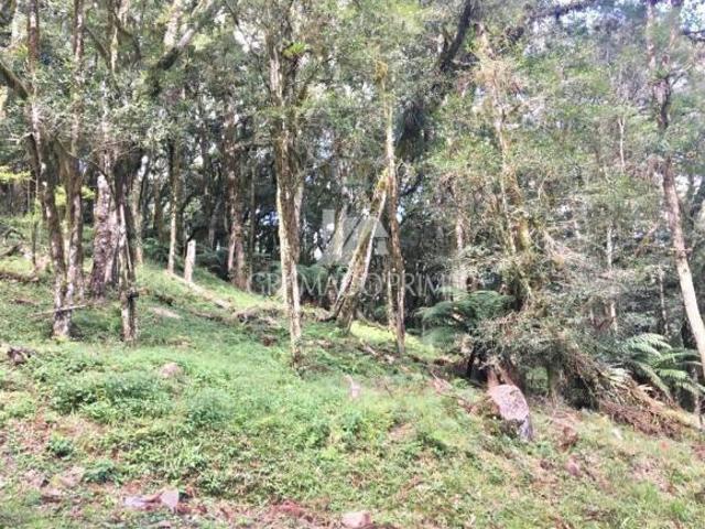 Terreno venda em Região Geográfica Imediata de Caxias do Sul, Canela