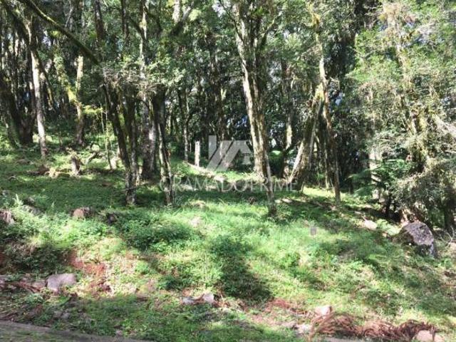 Terreno venda em Região Geográfica Imediata de Caxias do Sul, Canela