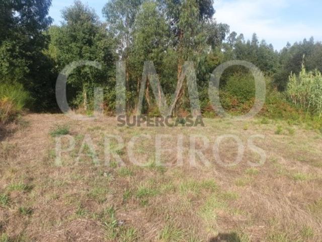 Terreno venda em Oliveira Do Bairro, Aveiro