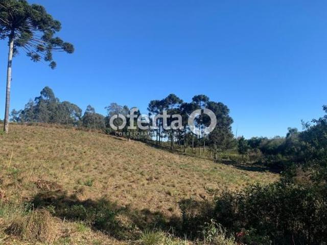 Terreno venda em Região Geográfica Imediata de Curitiba, Região Metropolitana de Curitiba