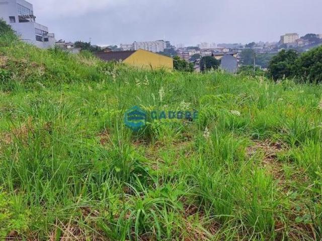Terreno venda em Região Geográfica Imediata de Caxias do Sul, Caxias do Sul