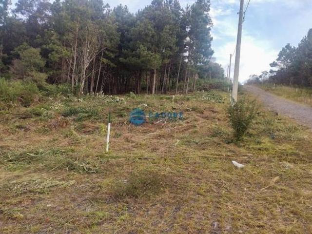 Terreno venda em Região Geográfica Imediata de Caxias do Sul, Caxias do Sul