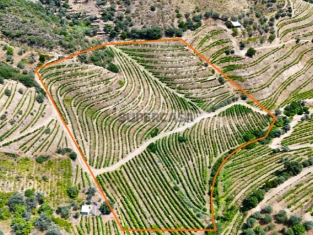 Terreno venda em Nagoselo Do Douro, Viseu
