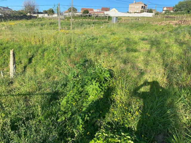 Terreno en venta en Beade, Vigo