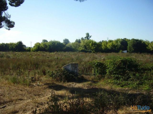 Terreno venda em Salvaterra De Magos, Santarém