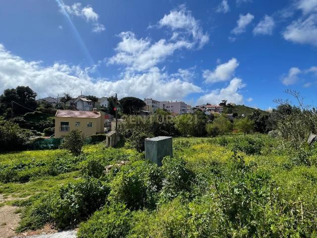 Terreno venda em Cascais, Lisboa