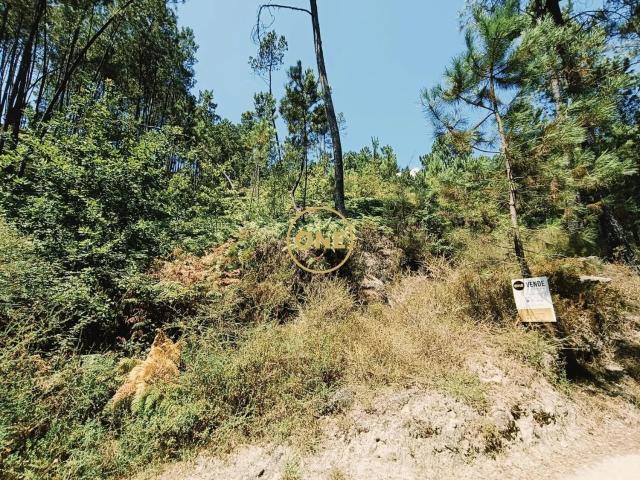 Terreno venda em Admeus, Covas
