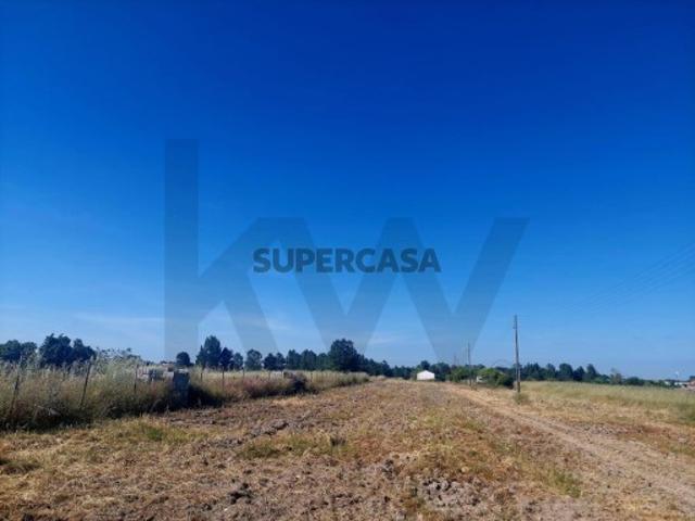 Terreno venda em Salvaterra De Magos, Santarém