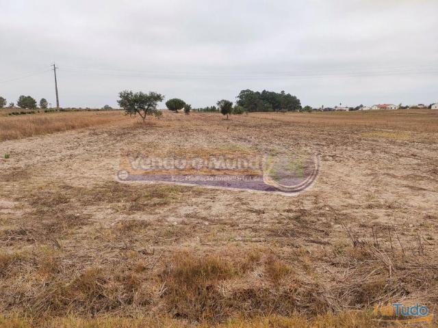 Terreno venda em Salvaterra De Magos, Santarém