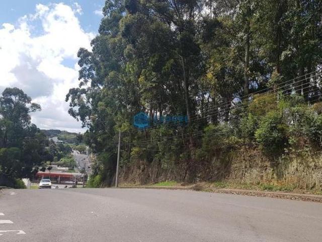 Terreno venda em Região Geográfica Imediata de Caxias do Sul, Caxias do Sul