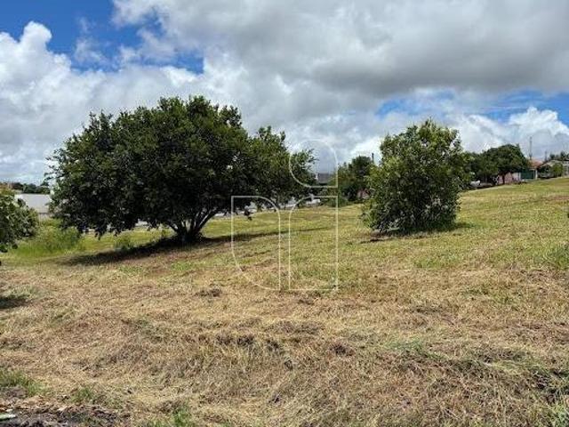 Terreno venda em Região Imediata de Marília, Marília
