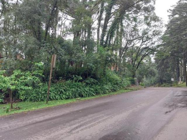 Terreno venda em Região Geográfica Imediata de Caxias do Sul, Gramado