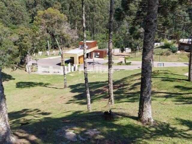 Terreno venda em Região Geográfica Imediata de Caxias do Sul, Gramado