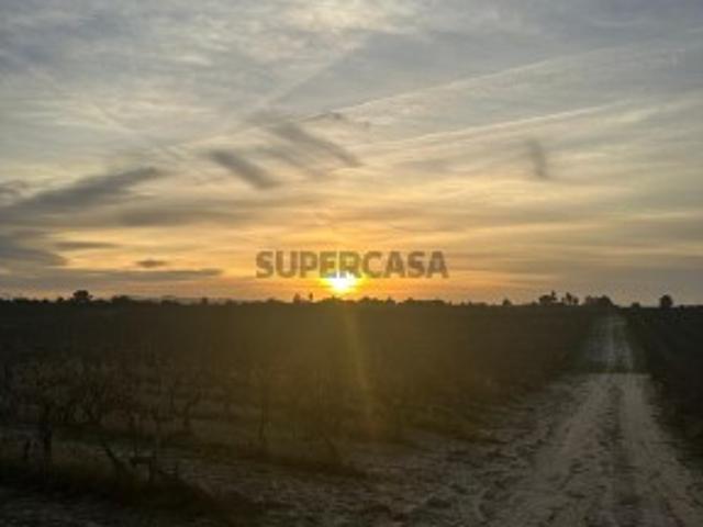 Terreno venda em Palmela, Setúbal