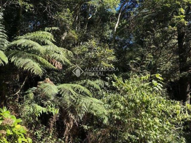 Terreno venda em Região Geográfica Imediata de Caxias do Sul, São Francisco de Paula