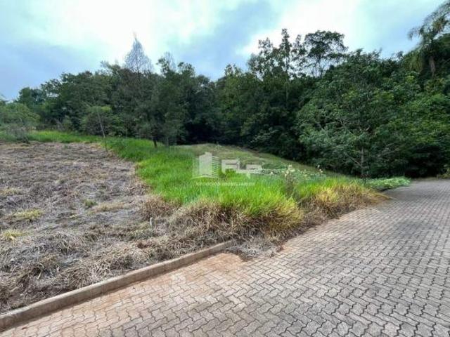 Terreno venda em Região Geográfica Imediata de Caxias do Sul, Feliz