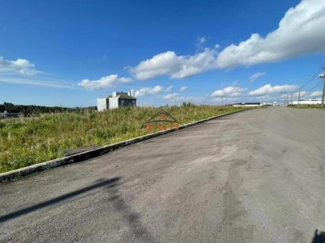 Terreno venda em Região Geográfica Imediata de Caxias do Sul, Farroupilha