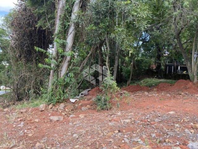 Terreno venda em Sede Municipal, Santa Cruz do Sul